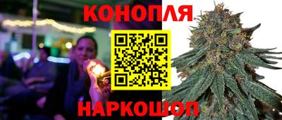 стафф Будённовск