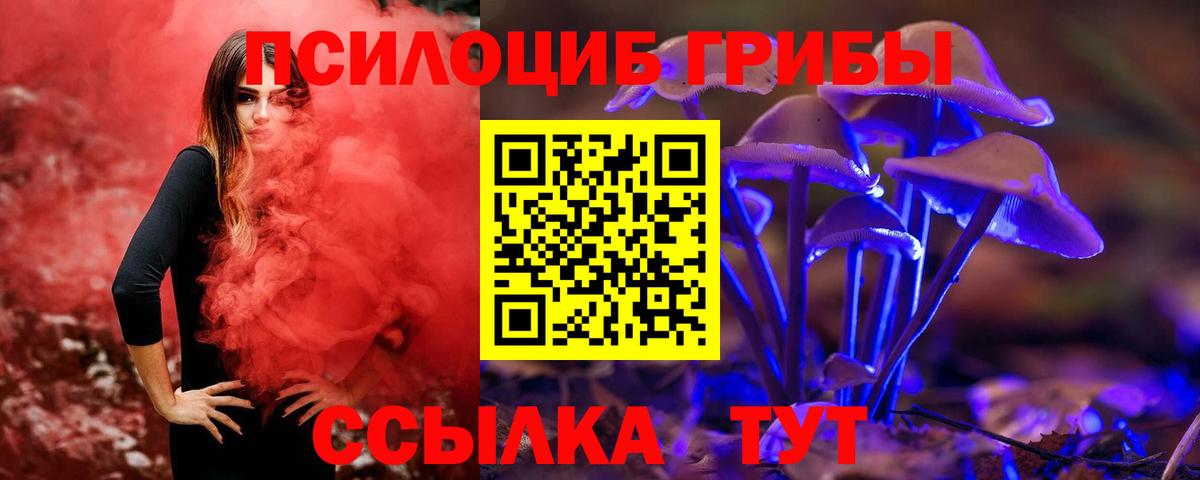 Псилоцибиновые грибы Cubensis Можга
