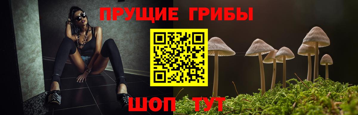 Галлюциногенные грибы Cubensis  Вход с VPN  Можга 